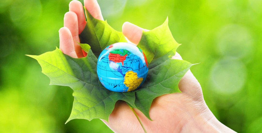 globe and leaf in hands for environmental conservation