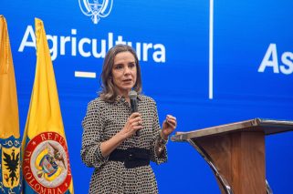 Ana María Gómez Montes, presidente ejecutiva de Asoleche.