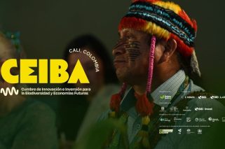 CEIBA--