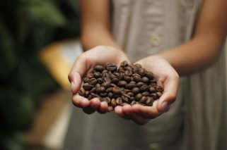 Café - Imagen Free