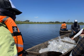 Con repoblamiento de 400 mil alevinos, Drummond fortalece la biodiversidad y la pesca artesanal en El Paso, Cesar_1