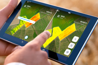 Cropwise Imagery_App Image_2021_Argentina