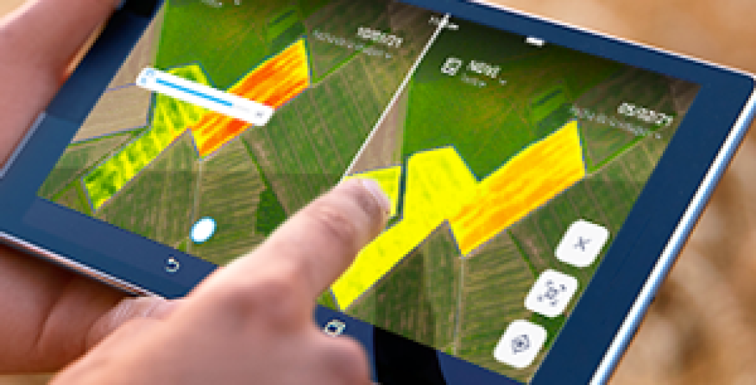 Cropwise Imagery_App Image_2021_Argentina