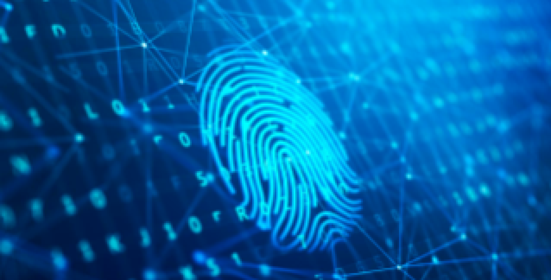Dell_Ciberseguridad Biometrica