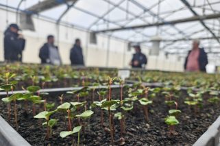 Día de la Tierra - WorkForce