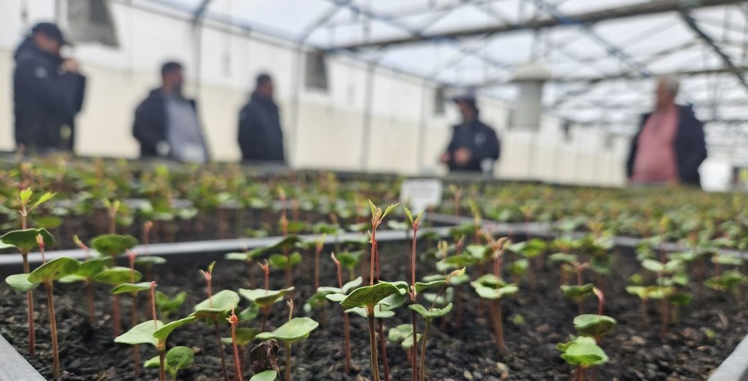 Día de la Tierra - WorkForce