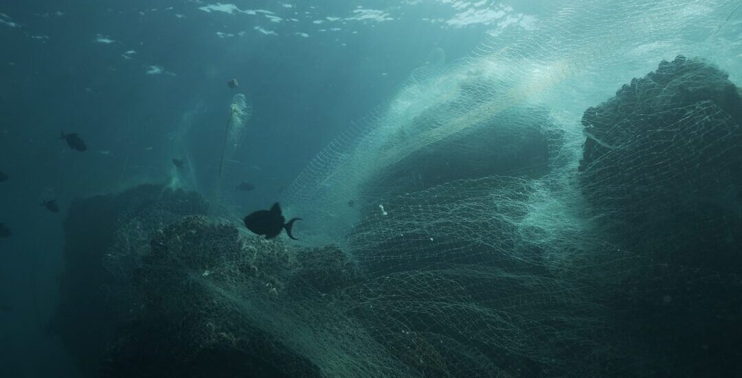 Discarded-fishing