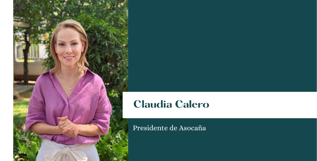 Diseño 'Opinión' - Página web (1)