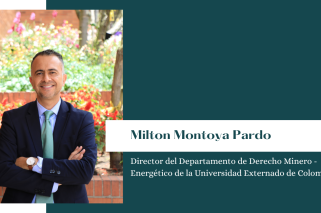 Diseño 'Opinión' - Página web (1)