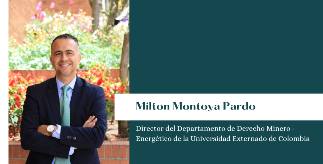 Diseño 'Opinión' - Página web (1)