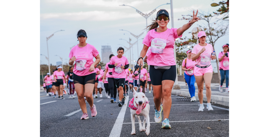 Diseño 'Opinión' - Página web (1)