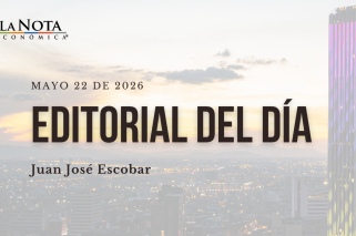 Diseño 'Opinión' - Página web
