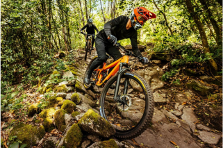 Diseño 'Opinión' - Página web (2)