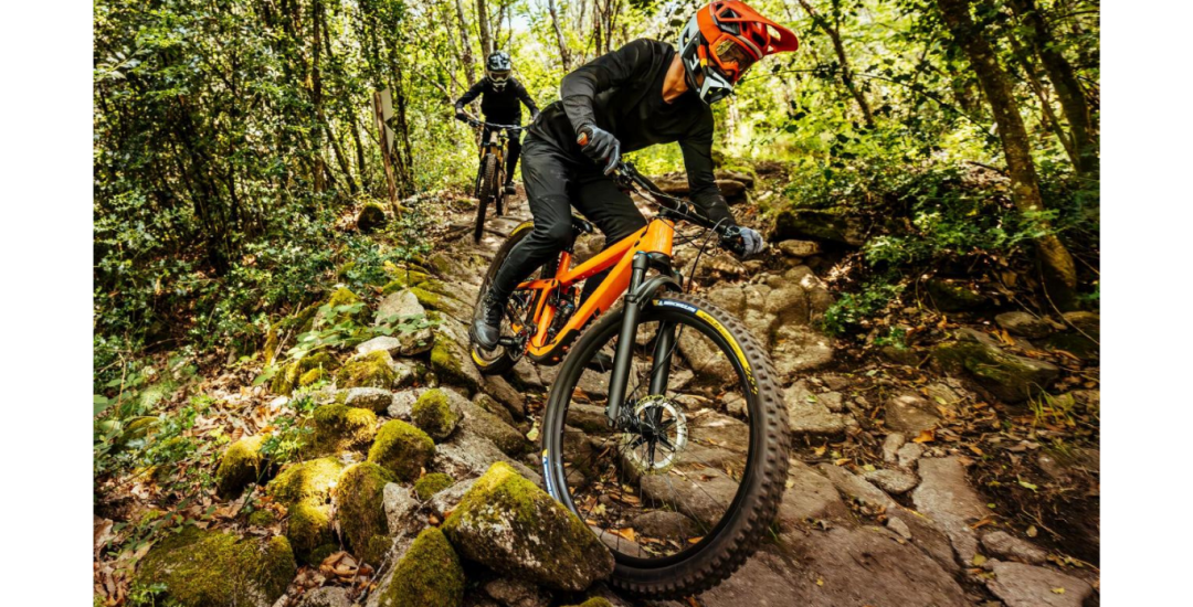 Diseño 'Opinión' - Página web (2)