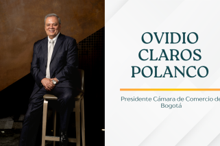 Diseño 'Opinión' - Página web (3)