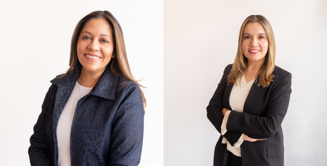 Diseño 'Opinión' - Página web (4)