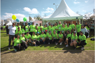 Diseño 'Opinión' - Página web