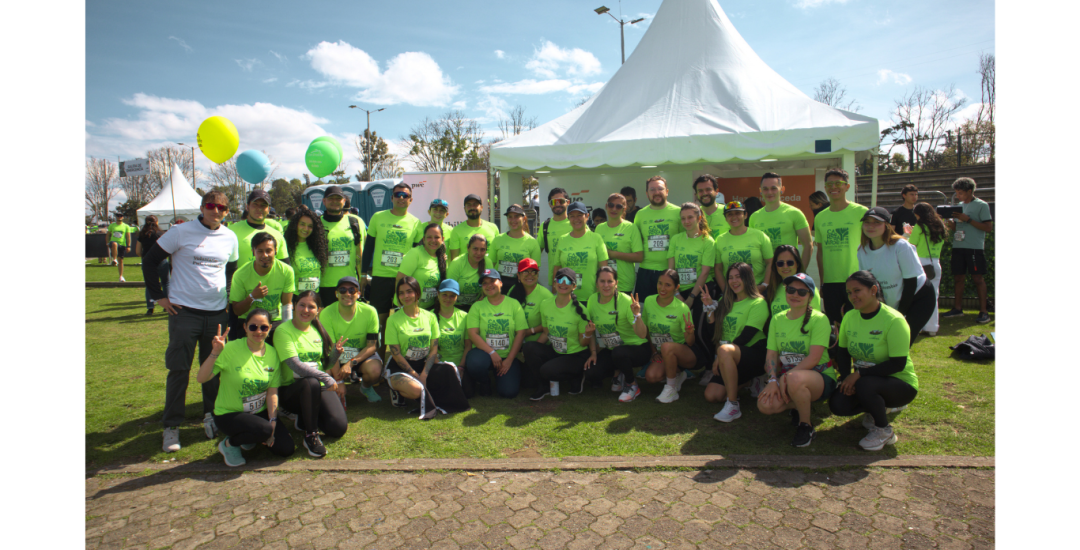 Diseño 'Opinión' - Página web