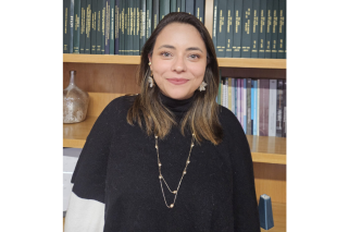 Diseño 'Opinión' - Página web