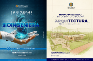 Diseño 'Opinión' - Página web