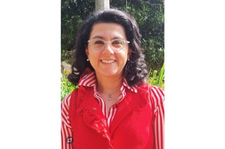 Diseño 'Opinión' - Página web