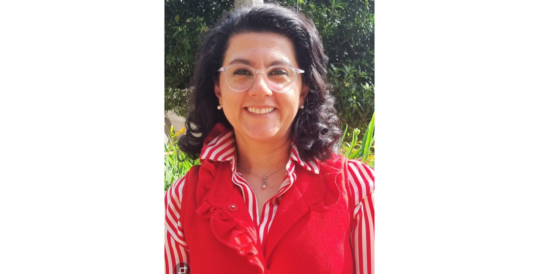 Diseño 'Opinión' - Página web