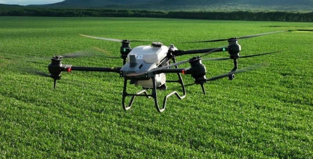 Dron
