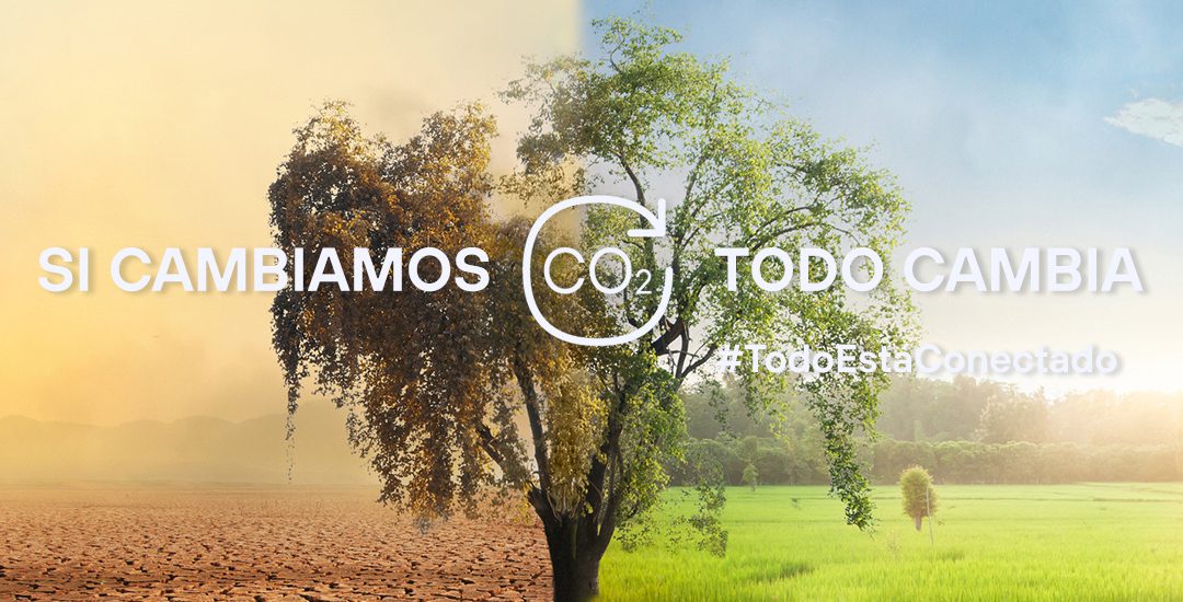 Eco