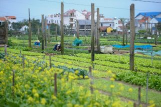 Eduacion ambiental 1