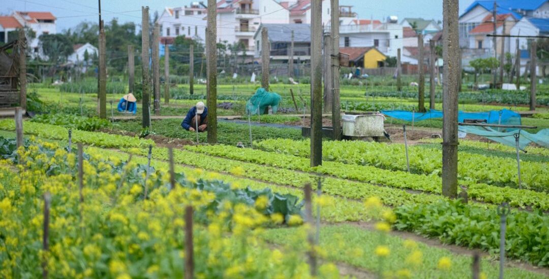 Eduacion ambiental 1