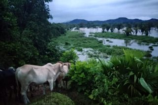 FOTO 2 - Emergencia invernal en Córdoba y norte de Urabá