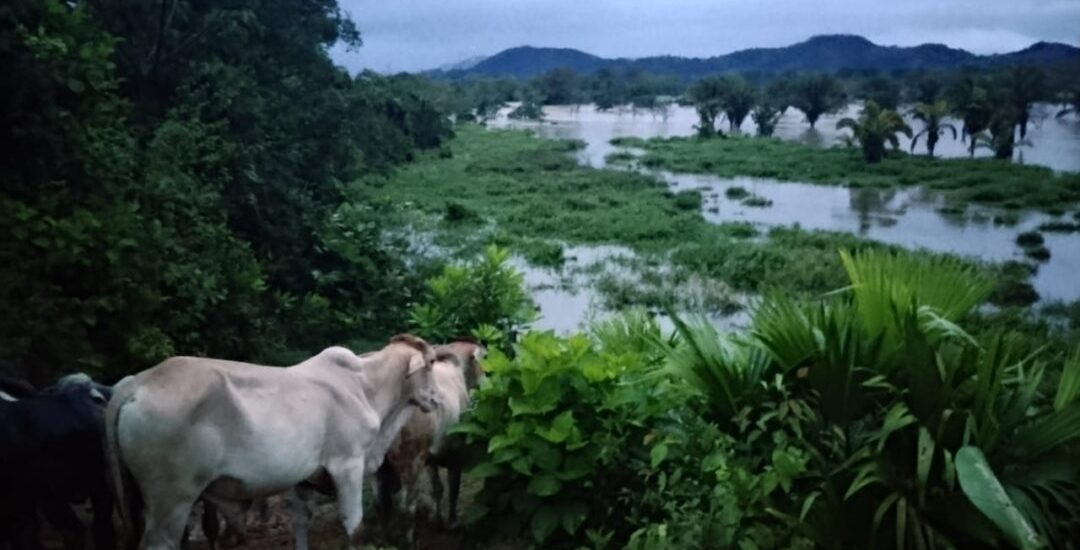 FOTO 2 - Emergencia invernal en Córdoba y norte de Urabá