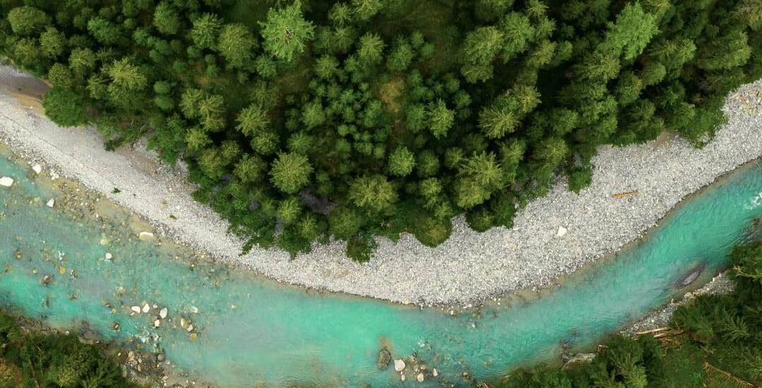 For the planet