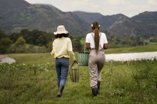 Foto Camacol - Compensar