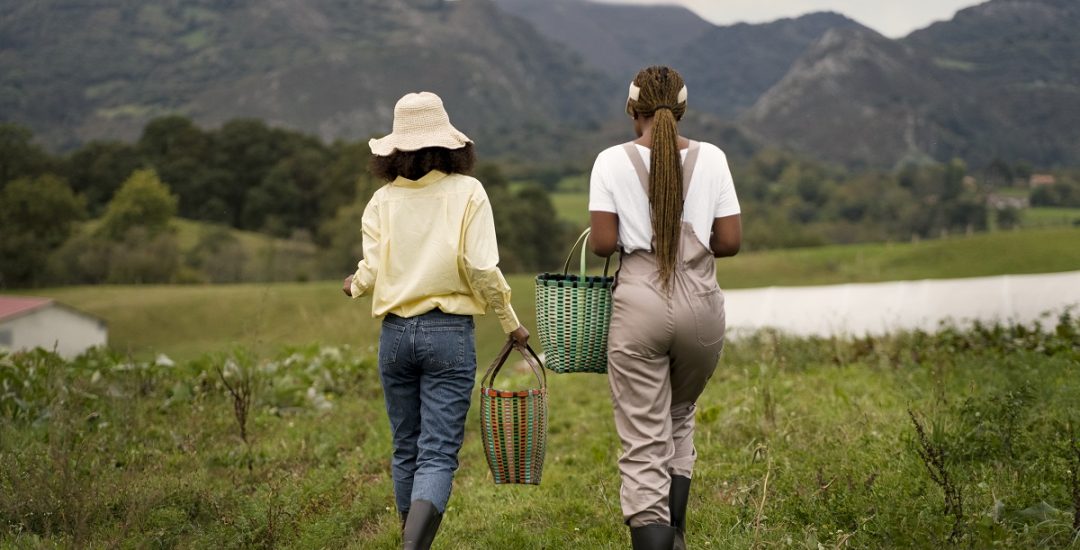 Foto Camacol - Compensar