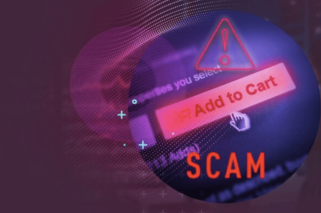 Imagen Check Point Scams