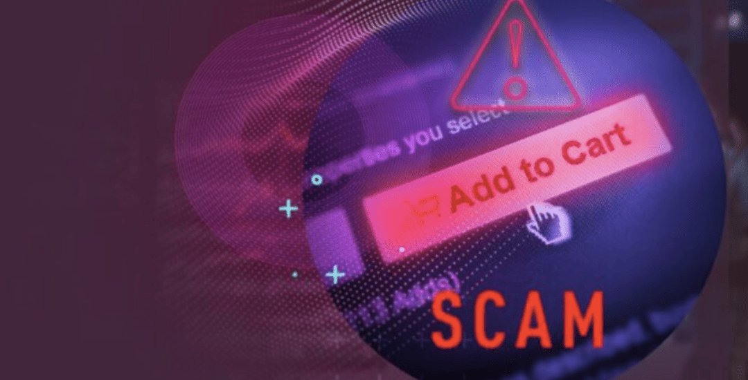 Imagen Check Point Scams