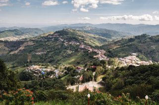 Imagen freepik - Quindio MM