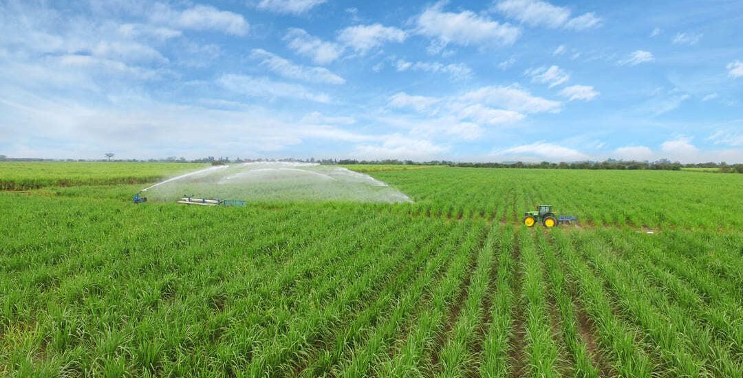 Incauca cierra 2024 con resultados ambientales, sociales y económicos que reflejan su modelo de economía cir (1)