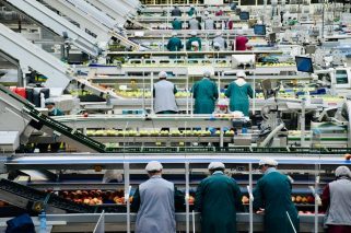 Industria de alimentos