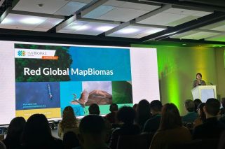 MapBiomas