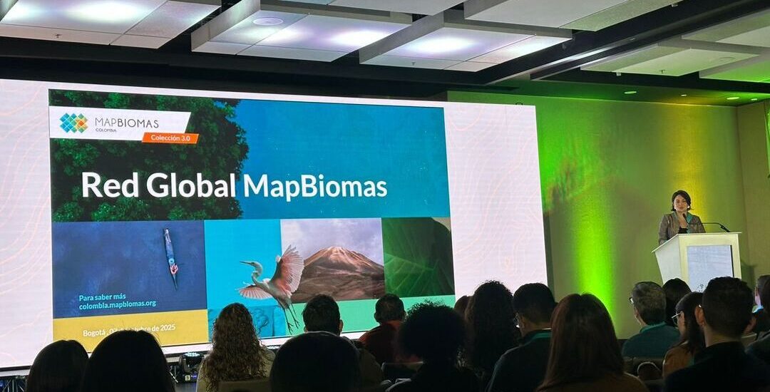 MapBiomas