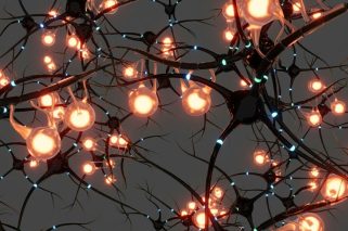 Neuro