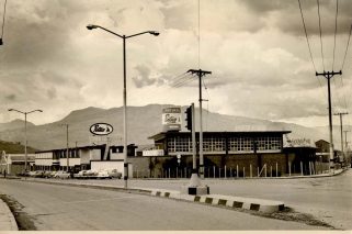 PLANTA_VIEJA_PINTUCO