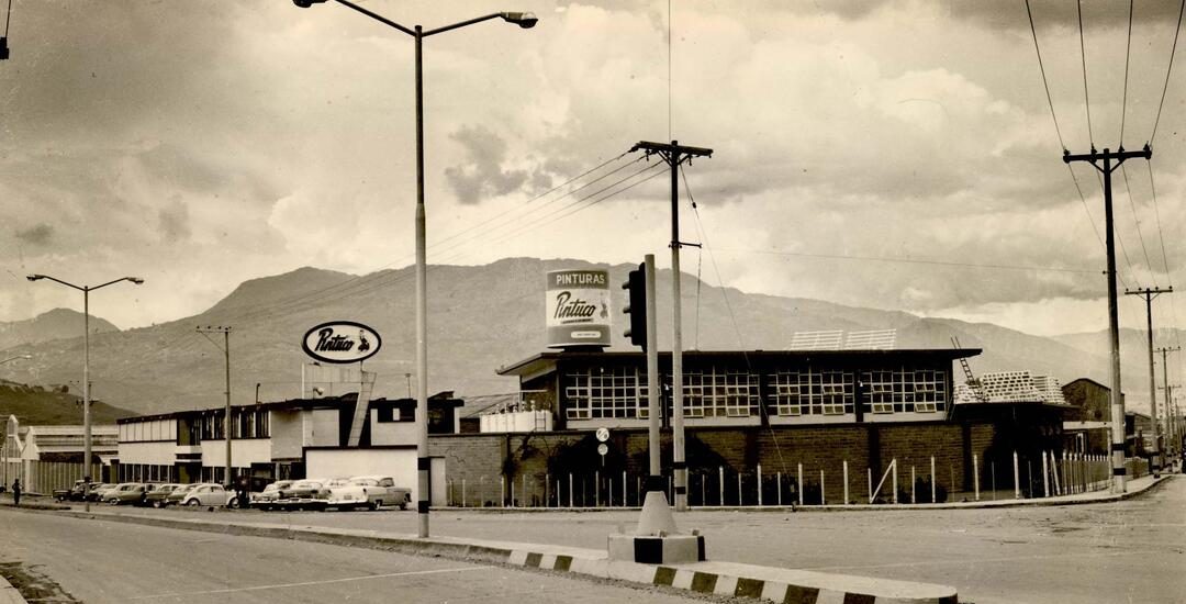 PLANTA_VIEJA_PINTUCO