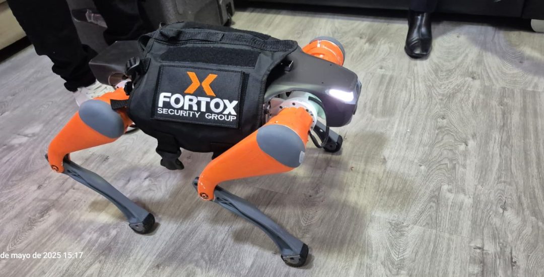 Perro robot cyberdog