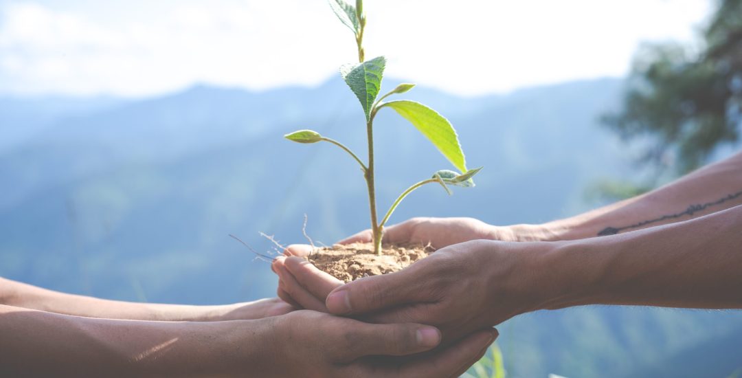 Concept of environmental conservation in the garden for children.