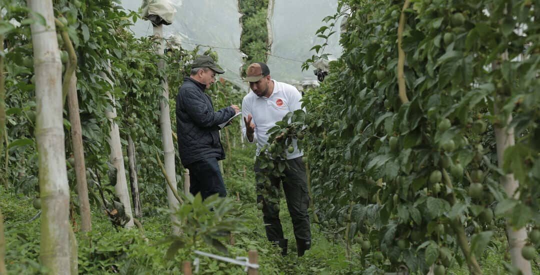 Premio Emprender Paz 2023 - 3