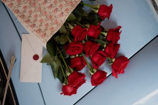ROSAS ROJAS