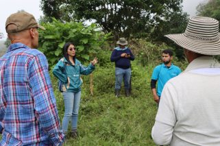 Reforestación Viotá, Cundinamarca (2) (1) (1)
